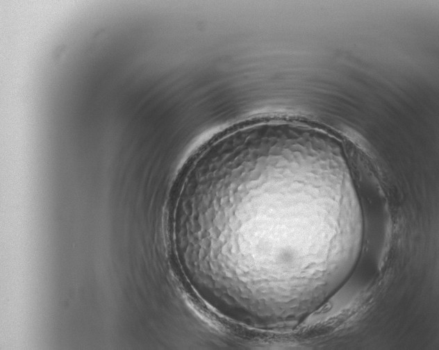 X0000080111030200612221759