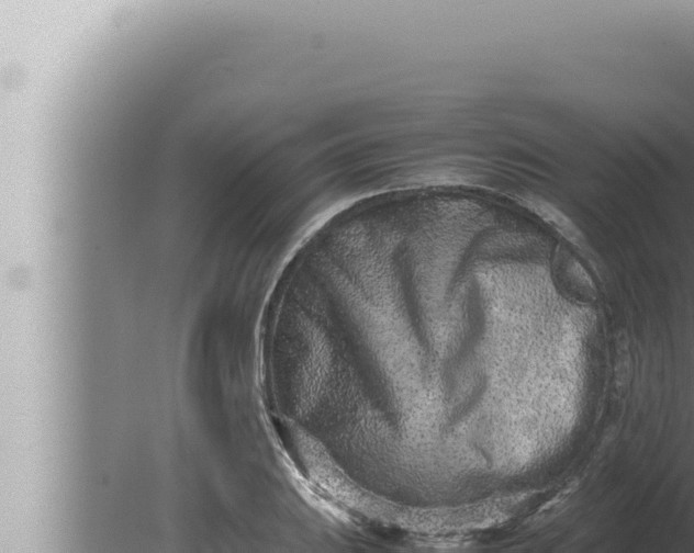 X0000080111031200612221759