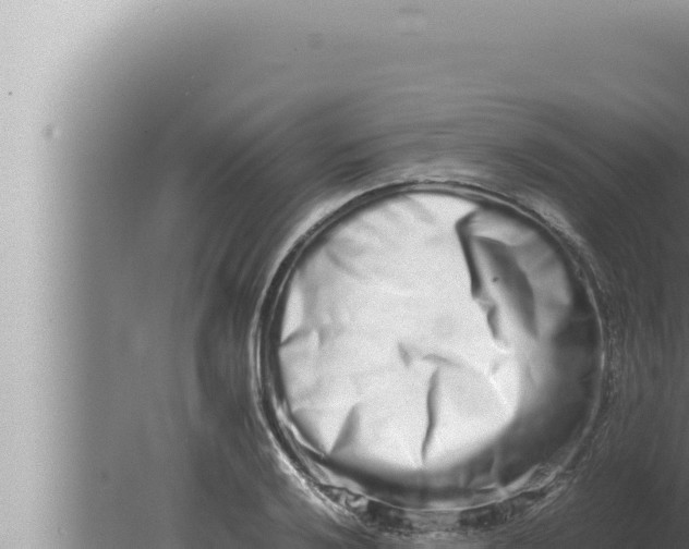 X0000080111032200612221759