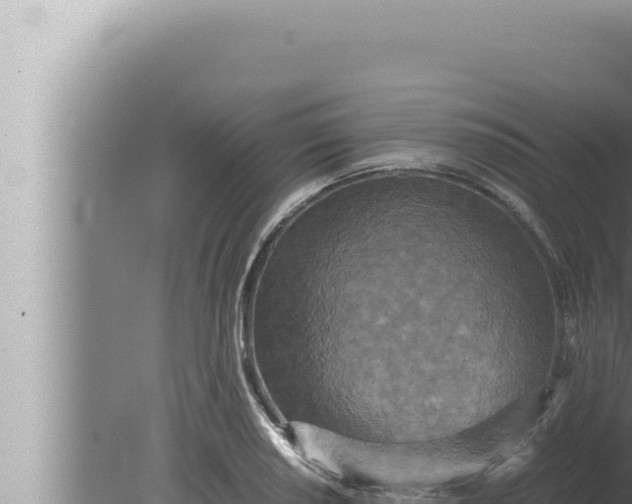 X0000080111034200612221759