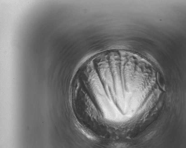 X0000080111035200612221759