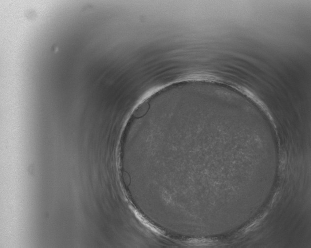 X0000080111037200612221759