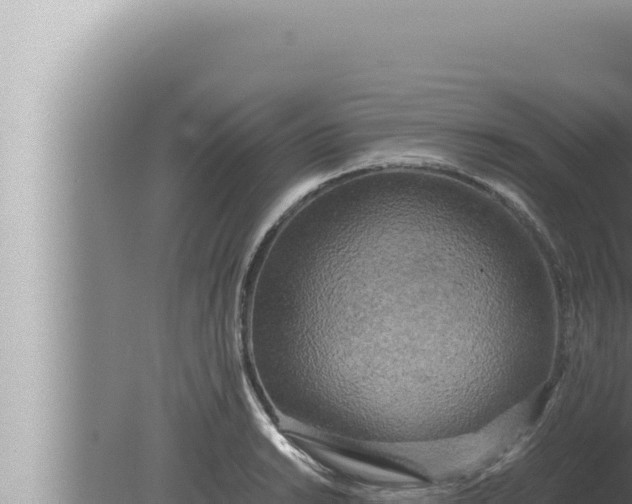 X0000080111038200612221759