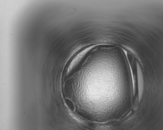 X0000080111039200612221759