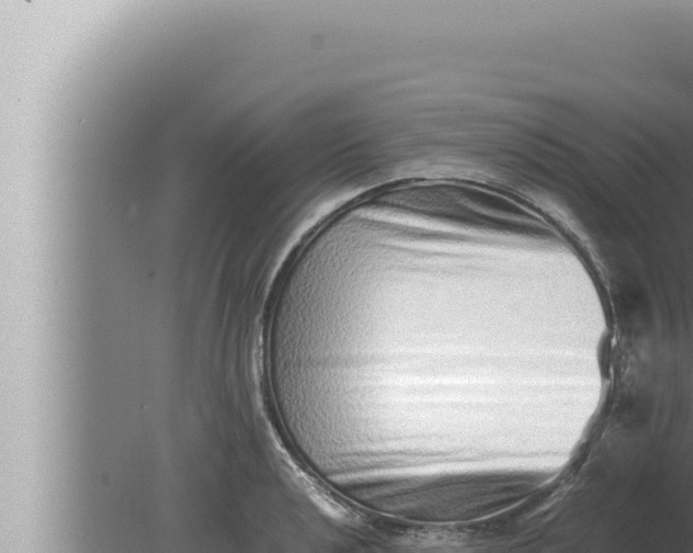 X0000080111040200612221759