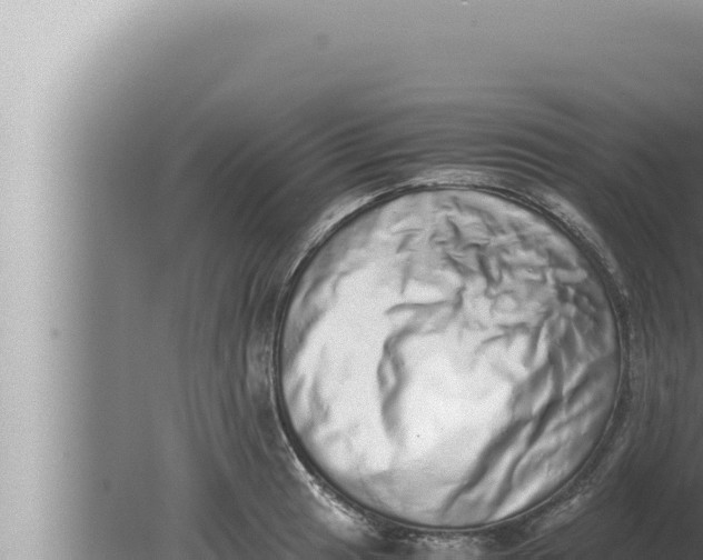 X0000080111041200612221759