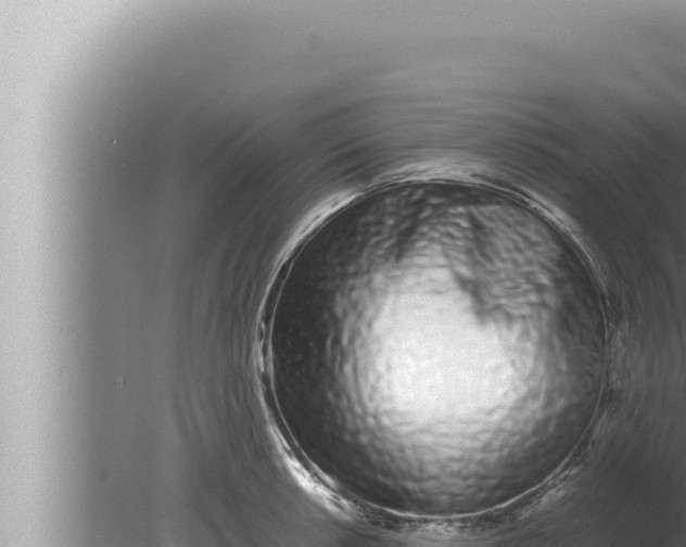 X0000080111042200612221759