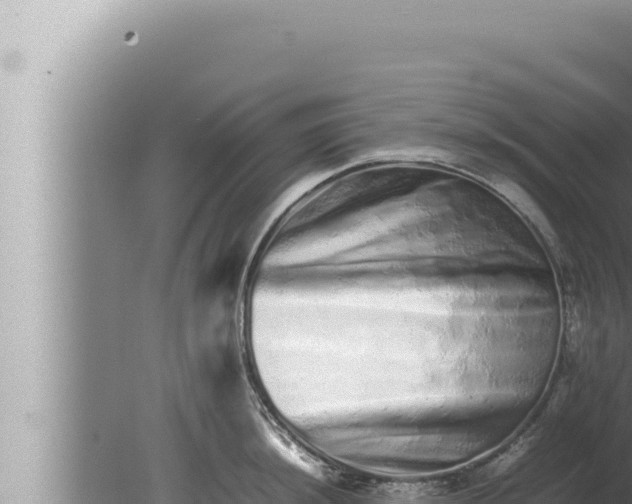 X0000080111044200612221759