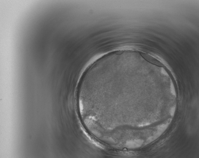 X0000080111045200612221759