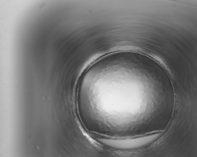 X0000080111046200612221759