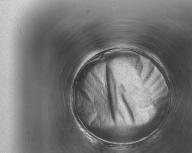 X0000080111048200612221759