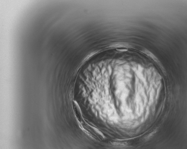 X0000080111049200612221759