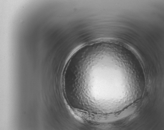 X0000080111050200612221759