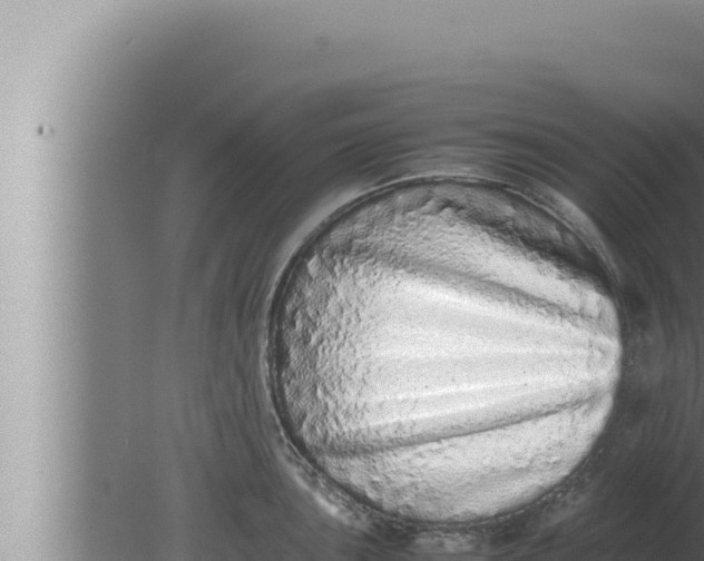 X0000080111051200612221759