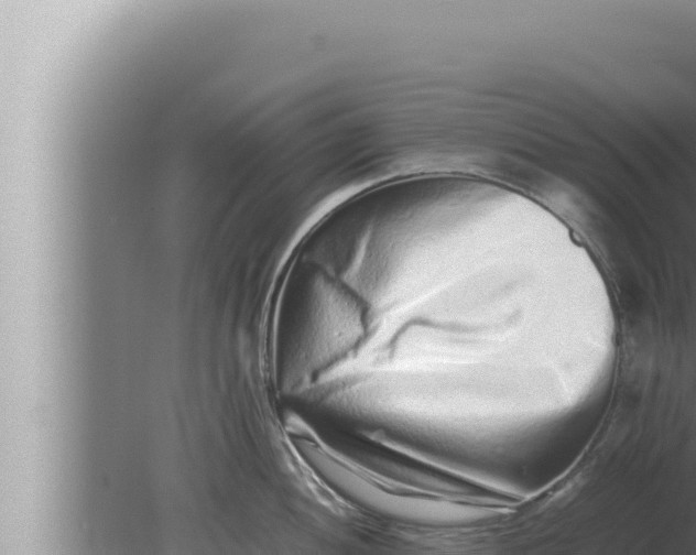 X0000080111052200612221759