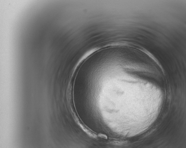 X0000080111053200612221800