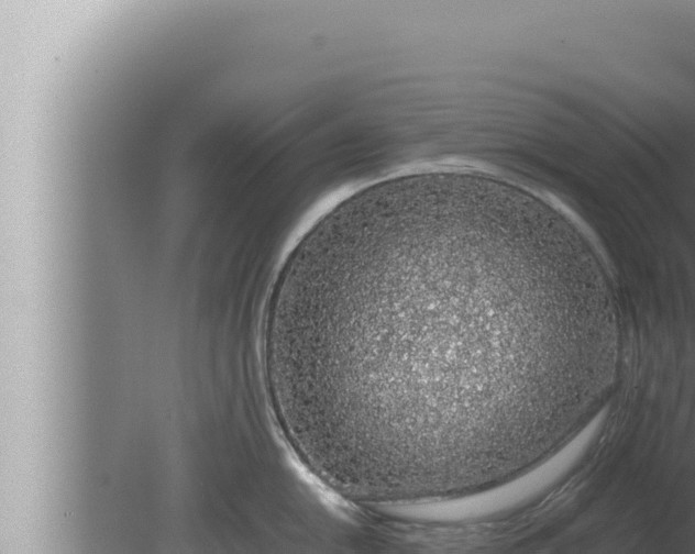 X0000080111054200612221800