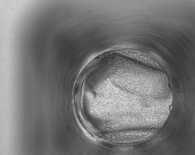 X0000080111055200612221800