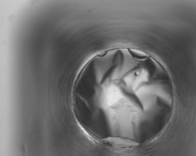 X0000080111056200612221800