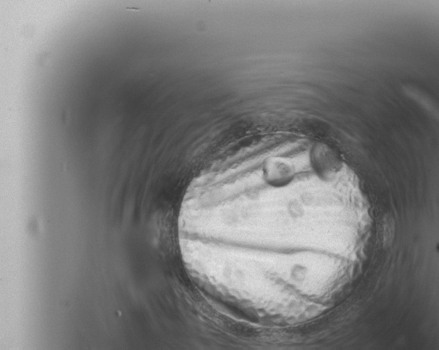 X0000080111059200612221759