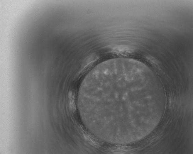 X0000080111060200612221759