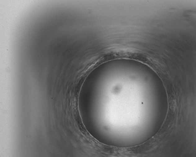 X0000080111061200612221759