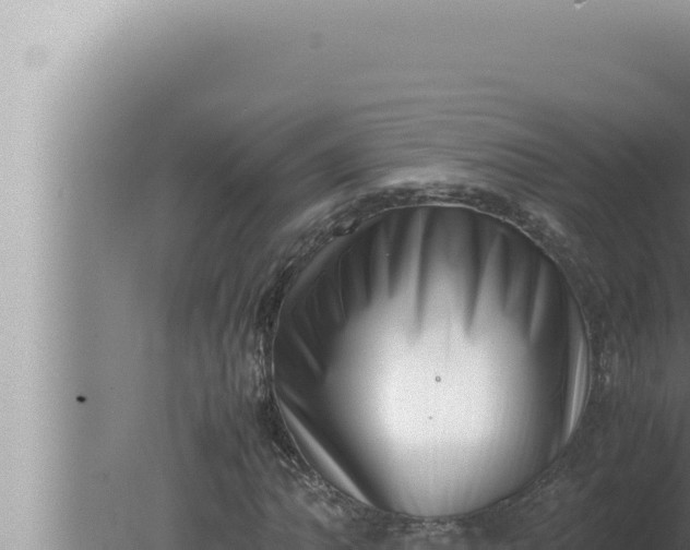 X0000080111062200612221759