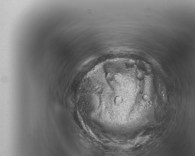 X0000080111063200612221759