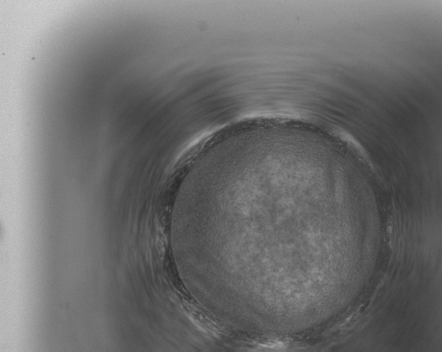 X0000080111064200612221759