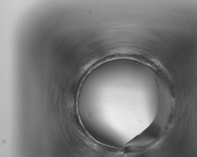 X0000080111065200612221759