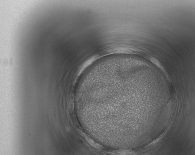 X0000080111067200612221759