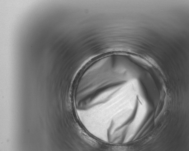 X0000080111068200612221759