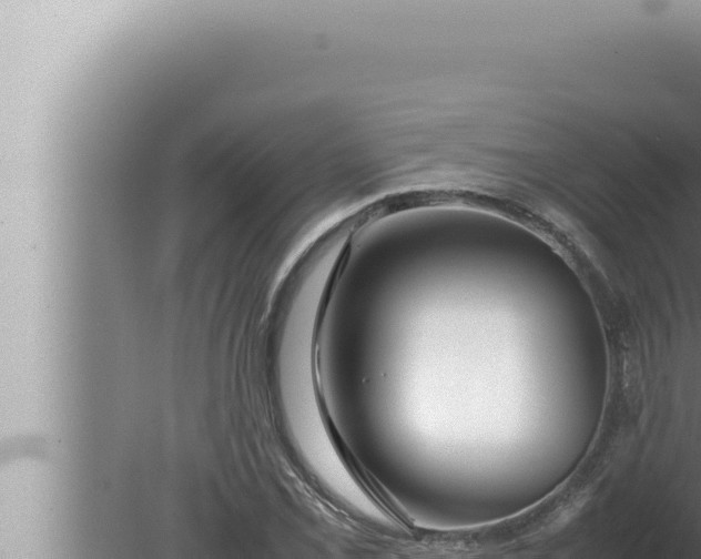 X0000080111069200612221759