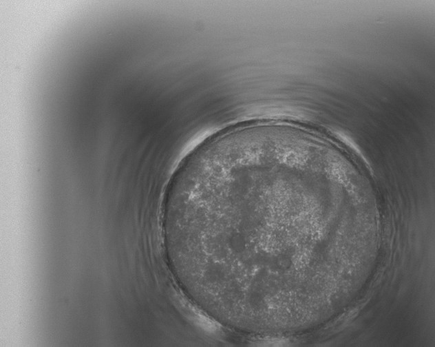 X0000080111071200612221759