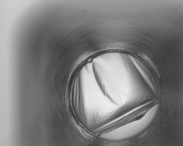 X0000080111072200612221758