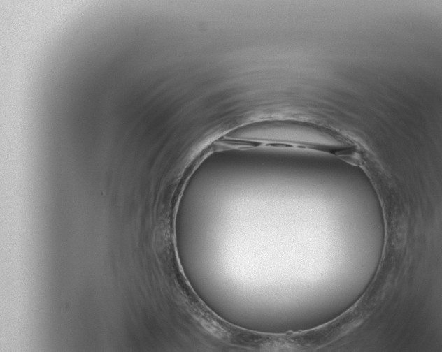 X0000080111073200612221758