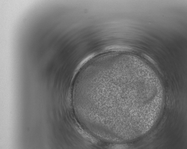 X0000080111074200612221758