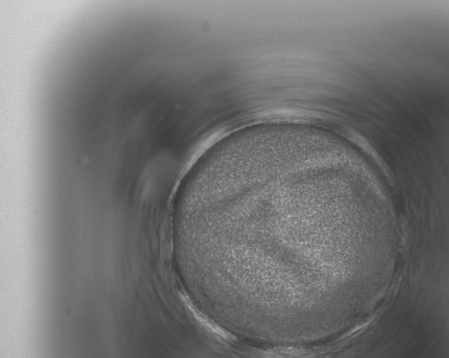 X0000080111075200612221758