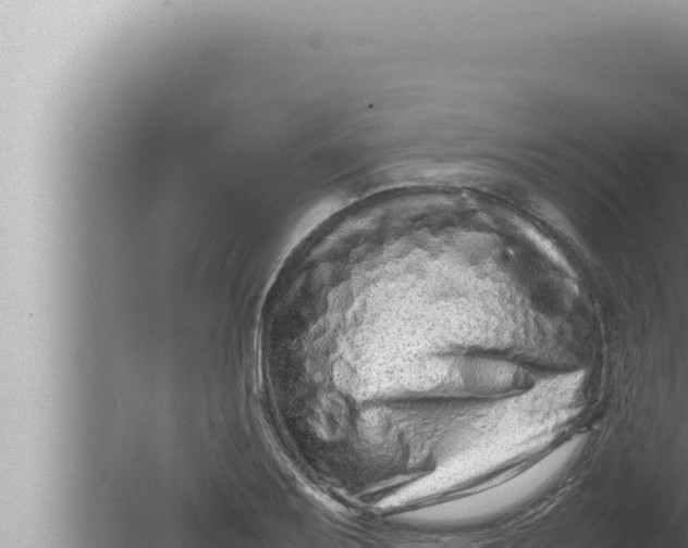 X0000080111079200612221758