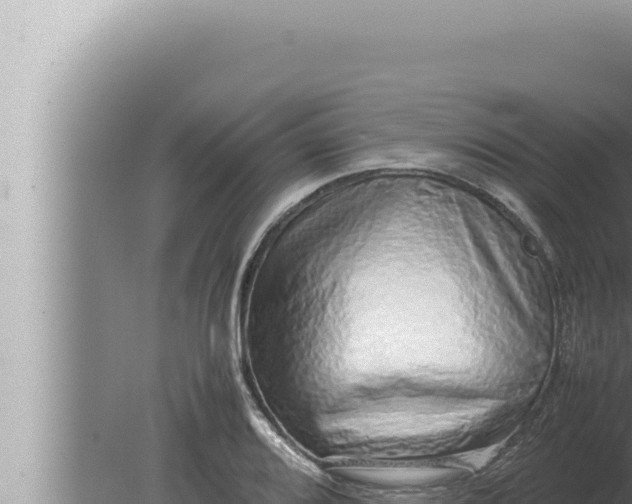 X0000080111080200612221758