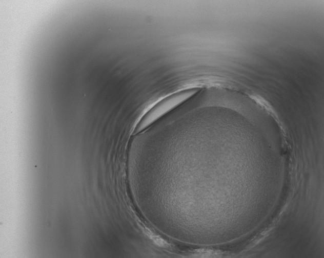 X0000080111081200612221758