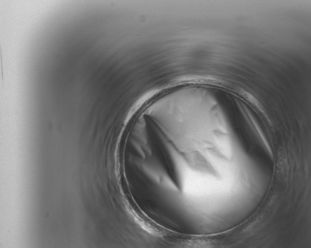 X0000080111082200612221758