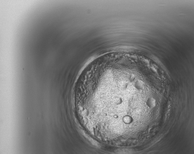 X0000080111083200612221758