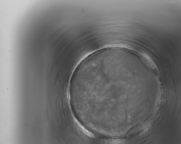 X0000080111084200612221758