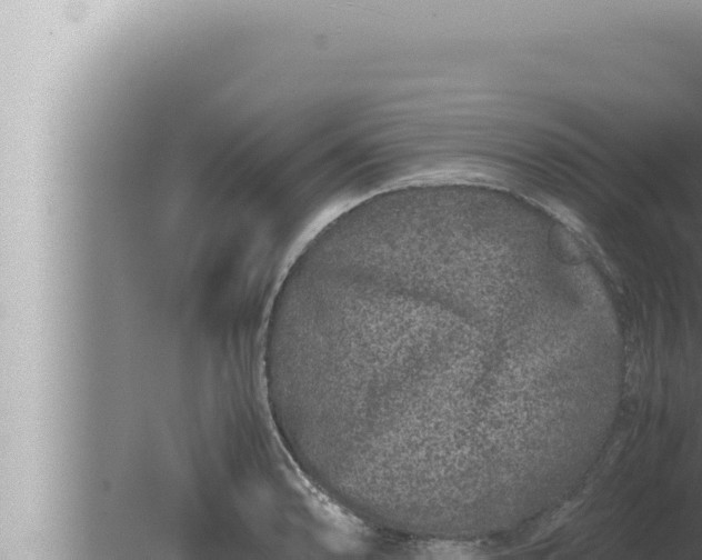 X0000080111086200612221758