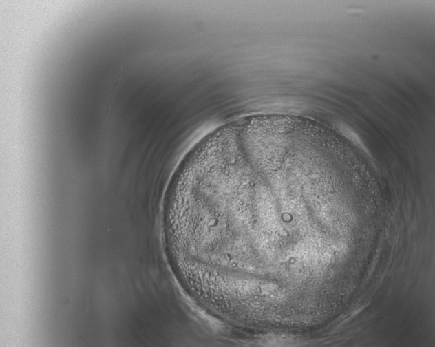 X0000080111087200612221758