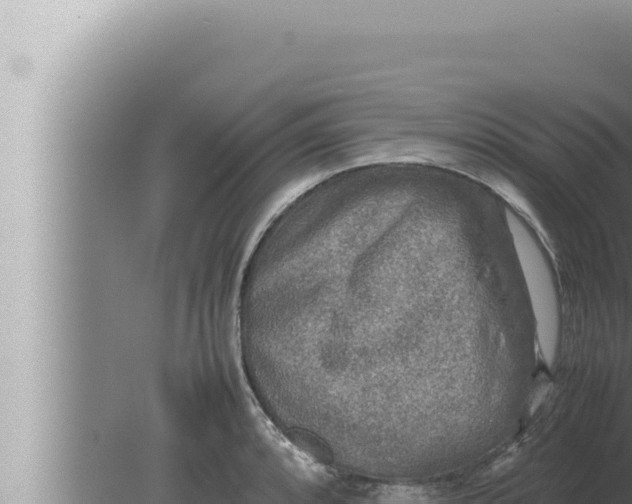 X0000080111088200612221758