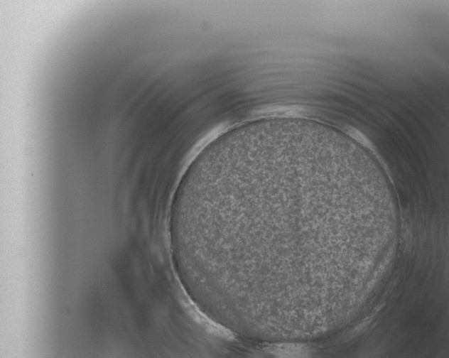 X0000080111090200612221758