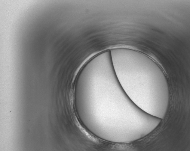 X0000080111092200612221758