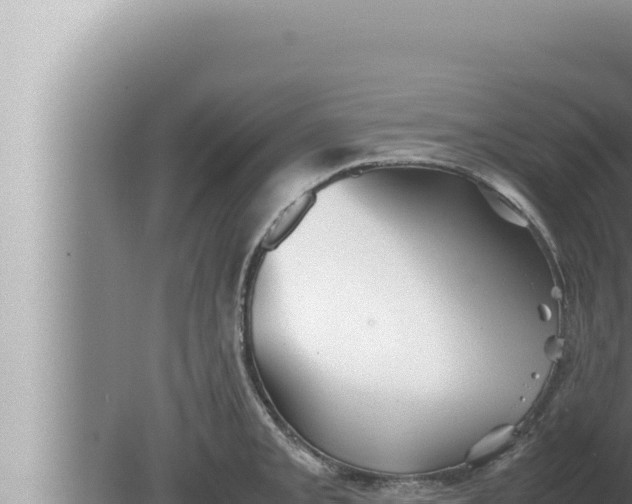 X0000080111093200612221758